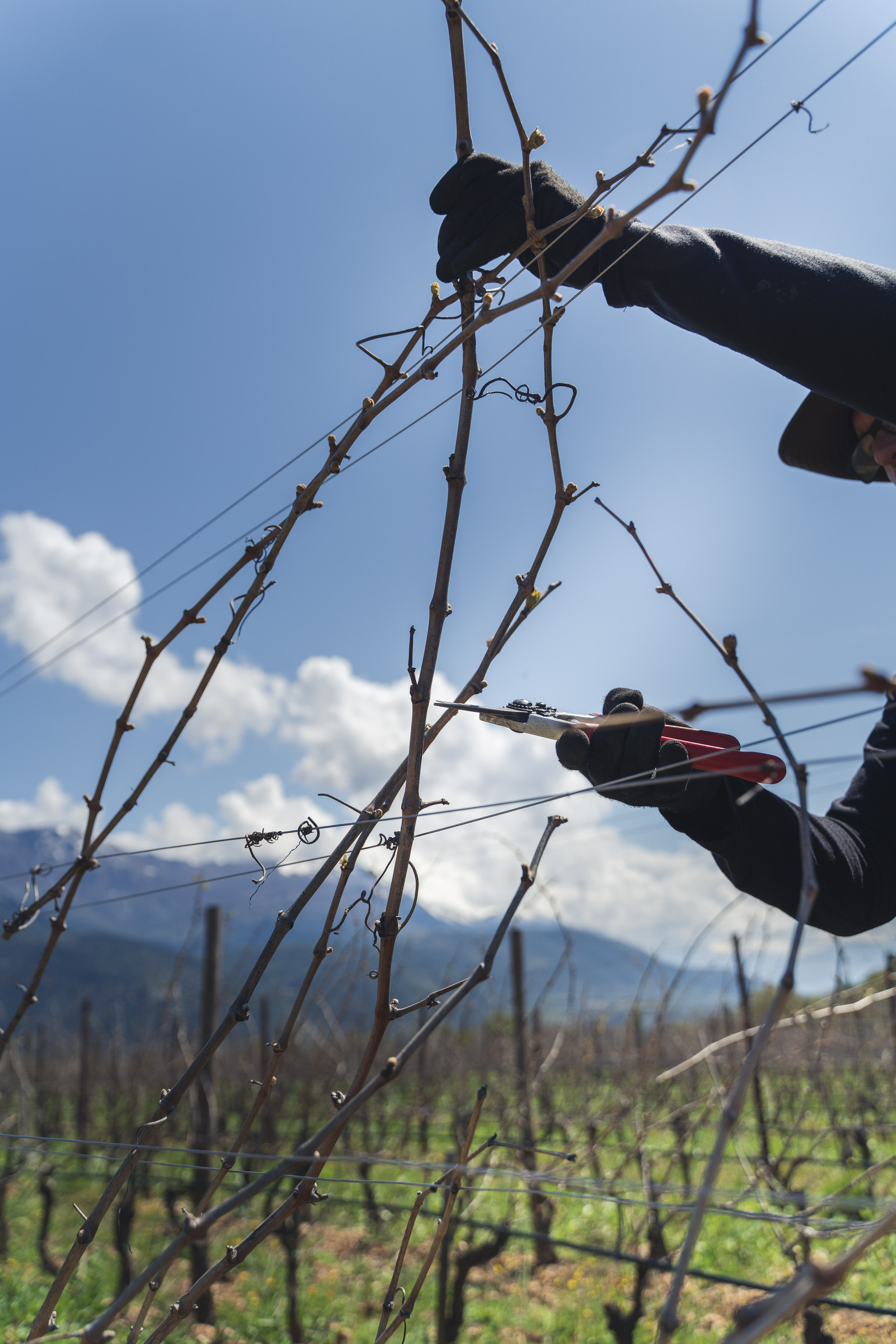 Il 2024 a Valle Reale